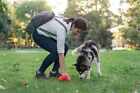 Dog Poop Bags Assort Color Pet Waste  Poopbag Clean Up Refills Roll  15 150bags 