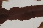 New Cowhide Rugs Area Cow Skin Leather 22 88 Sq feet  54 x61   Cow Hide U-1328
