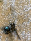 Men   s Lovely Vintage Native American 925 Silver Turquoise Tie Pin