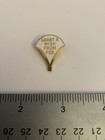 Fraternal Order Eagles Grant A Wish From Foe Lapel Pin P169