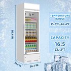 Commercial Glass Door Merchandiser Beverage Refrigerator Display Cooler For Bar