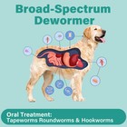 Dewormer For Dogs  Oral Treatment For Tapeworm  Roundworm   Hookworm In Large   