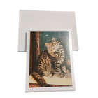 Lot Of 34 Kitten-cat Greeting Cards   Only 33 Envelopes    Feline Blank Cards