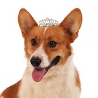 Lovelyshop Pet Series Classic Petal Rhinestone Dog cat Tiara Crown For Costum   