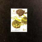 Ukraine 2017  Set   medicinal And Honey Plants   Flora