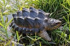  Snapping Turtle Statue  Brown And Green 