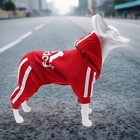4 Leg Pet Dog Clothes Cat Puppy Coat Sports Hoodies Warm Sweater Jacket Clothing