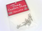 True Custom Shop   Nickel Pickguard And Plate Mounting Screws For Fender Tele