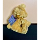Nwt Vintage Russ Berrie Shining Stars Honey Bear Plush 34419 Star Registry Code