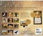 Lang 2018 Wall Calendar  love Of Dogs   Artwork By John Silver  13 3 8  X 24  
