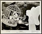 2 Vtg Original Walt Disney s  pinocchio  Press Kit Glossy Still Photos 1971