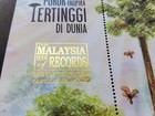 Malaysia World s Tallest Tropical Tree 2020 2022  o p   Normal Ms  Mnh  unusual