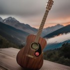 Fender Parlor Acoustic Guitar Mahogany Brown 6-string Rh W  Gig Bag   Picks