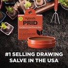 Hyland s Prid Drawing Salve  Topical Skin Irritation Relief  For Splinters  New 