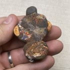 Rare Ancient Phoenician Mosaic Glass Face Head Motif Amulet Pendant 