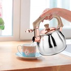 Stainless Steel Tea Kettle For Stove Top Teakettles Stovetop Whistling With Heat