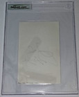 Aaliyah Signed 5x8 Index Card Singer Actress R b Pop Hip-hop Beckett Bas Slabbed
