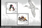 Jersey - China Joint Issue  birds   Ducks   Waterfowl  Mnh Ms 2016