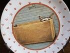 Vtg Cat Kitty Plate Vandor Lowell Herrero Collectible Tabby Paw Border 1984