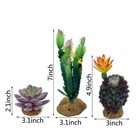 Jihaqua Reptile Plants 3  - 3 1  In Diameter  2 1  - 7  Length  Set 3