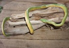 Green Mamba -52  Realistic Snake Replica - Rubber Aaa
