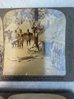 Antique 1904 St  Louis World s Fair Underwood Stereoview Cards - Lot Of 7