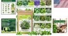 15 Non-gmo Heirloom Herb Seeds - Culinary Variety Pack For Indoor   Outdoor Use