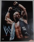 Stone Cold Steve Austin Signed 16x20 Photo Bas Coa Wwe Legend Picture Auto d H