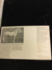 1978 Horses British Post Office Mint Stamps Presentation Set
