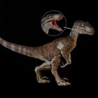 Nanmu Smart Series Raptor 2 5  Highly Articulated Action Figure Dinosaur Animal
