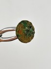 Revolutionary War Massachusetts Small Button     Dug In Virginia