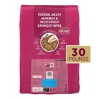  2 Pack  Purina Dog Chow Tender   Crunchy With Lamb   Peacock Flavor  30 Lb Bag