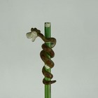 Vintage Disney Parks Jungle Book Pencils With Character Toppers Unsharpened X4