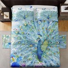 4 Pieces Size Bed Sheet Sets With Pillowcases  Painting Feather Queen Peacock