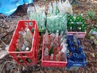 Collectible Vintage-huge Lot over 150 Old Bottles-medicine soda health beauty  