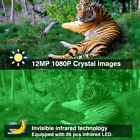 1-4pcs 1080p Hunting Game Trail Camera 12mp Wildlife Waterproof Cam Night Vision