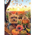 Bits And Pieces     500 Piece Jigsaw Puzzle For Adults     Pumpkin Sunrise Yorkie   