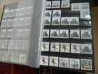 World Stamps Collection In 6 Large Stockbooks  1000s 