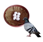 6 Pack Nesting Bowls Heavy Duty Nesting For Pigeons Breeding Hatching