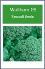 Broccoli Seeds    Non-gmo Broccoli Seeds   Fresh Heirloom Garden Seeds