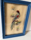 Vintage Feather Art Bird On Branch Blue Frame 6 75  X 4 75 