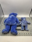 Ty Beanie Baby And Buddy Clubby Ii Purple Bear Lot Of 2 1999 Babies Buddies