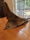 Striking Wood Piece For Art Or Decor   Like Driftwood