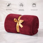 Luxury Fleece Blanket Soft Warm Throw  Plush Lightweight Comforter Bed Couch New