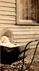 Original Old Vintage Antique Outdoor Photo Infant Baby Child Stroller House
