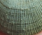 Schellwienella Umbraculum - Rare Excellent Devonian Fossil  Brachiopod