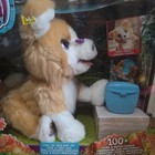Furreal Friends Lexie The Trick Lovin Pup Walmart Exclusive   2018 Read Please