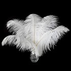 Large White Ostrich Feathers Bulk For Crafts 24pcs 8-10inch