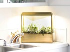 Modern Sprout Smart Growhouse - Grow Light For Indoor Plants  App-enabled  Brass