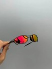 Oakley Penny   Juliet X-mental Sunglasses Gray Frame ruby Lens